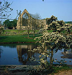 Bolton Abbey on the Dales Way
